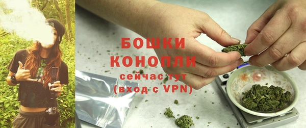 индика Переславль-Залесский